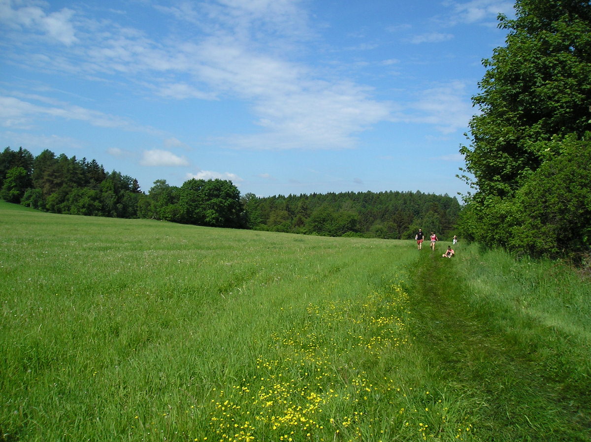 Prčice 2