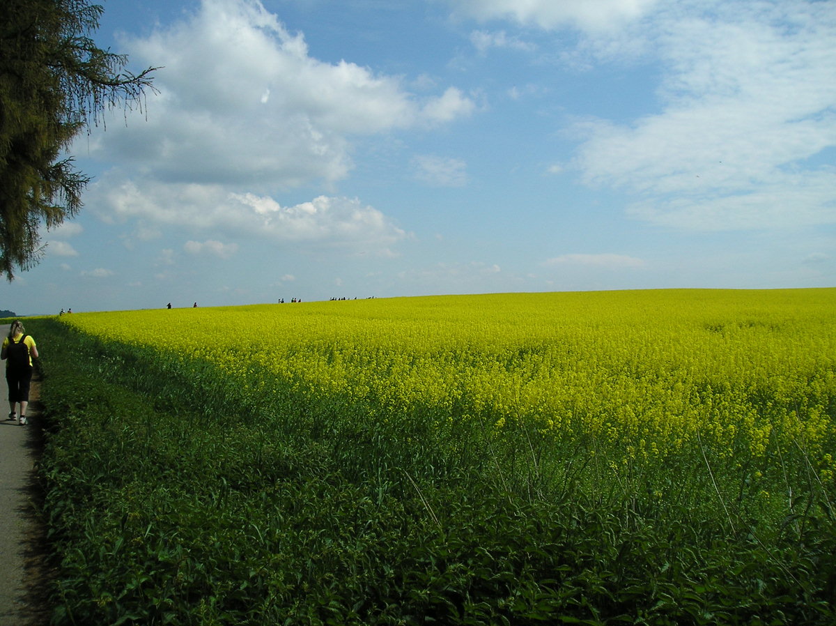 Prčice 3