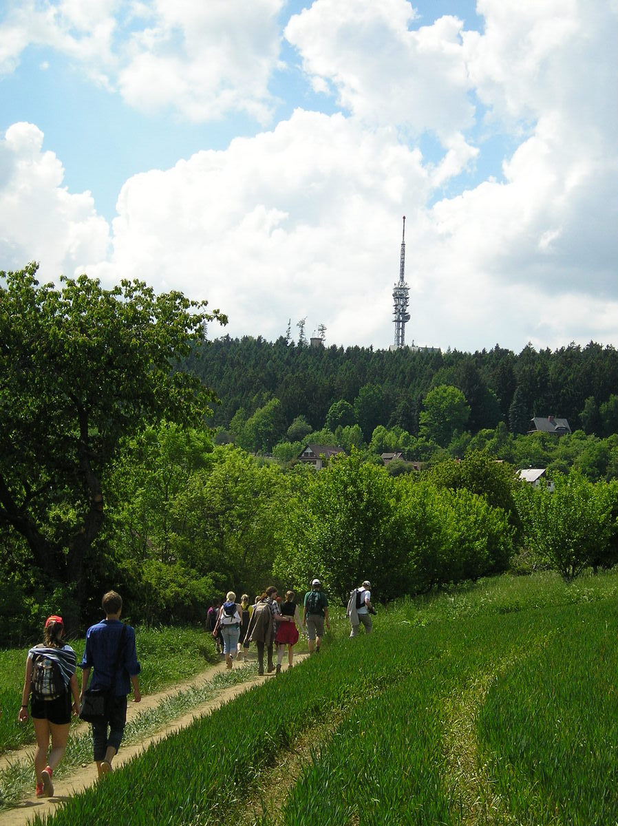 Prčice 4