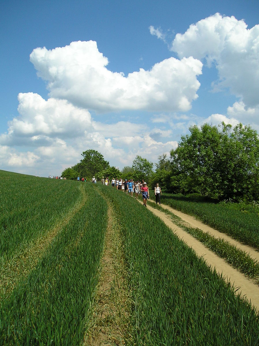 Prčice 5